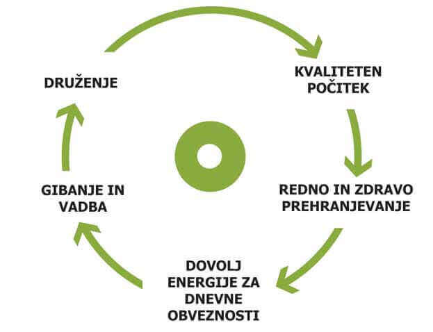 zdravo zivljenje - diagram 1