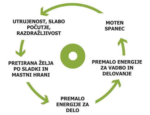 zdravo zivljenje - diagram 2